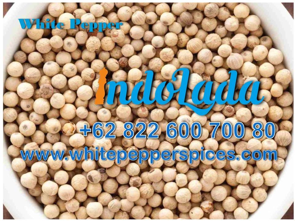 BEST QUALITY, +62822 600 700 80, Sell White Pepper by Indolada Lada