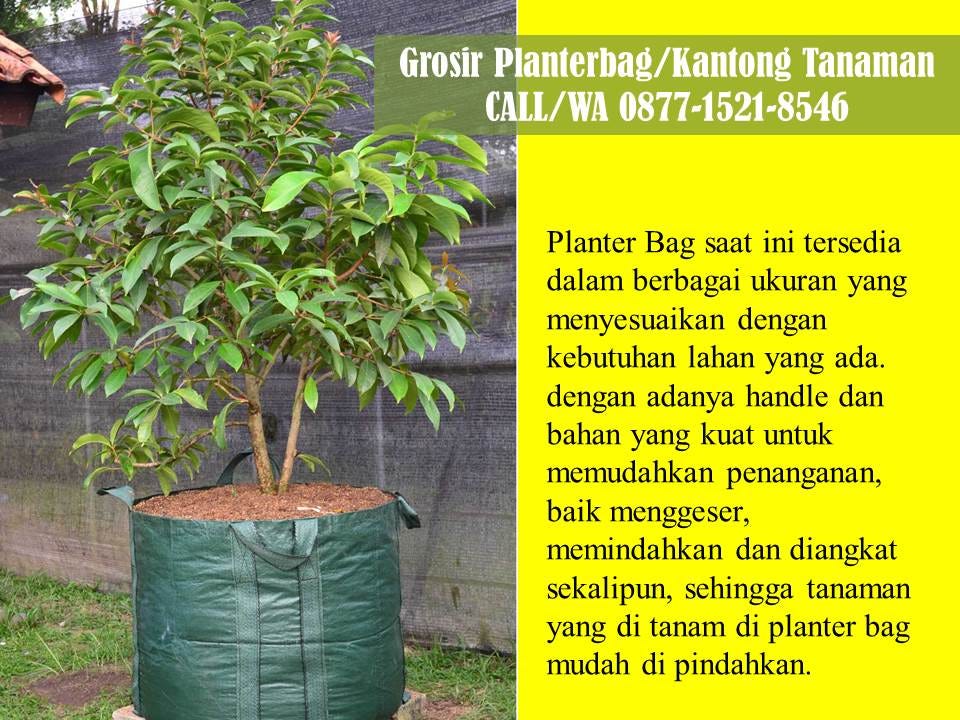 HP WA 087715218546 Distributor planter bag Palangkaraya 