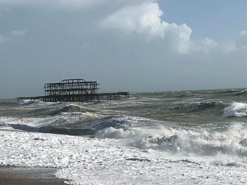 Where is a shovel? I have some emotions to bury. by Anne Medium