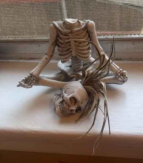 Picture of a skeleton sitting in the yoga position with his head that fell off in his lap and his dead air plant hair.