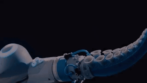Humanoid Robots Are The Wrong Answer To The Right Problem By Ryan Hickman Medium Humanoid Robots Are The Wrong Answer To The Right Problem By Ryan Hickman Medium