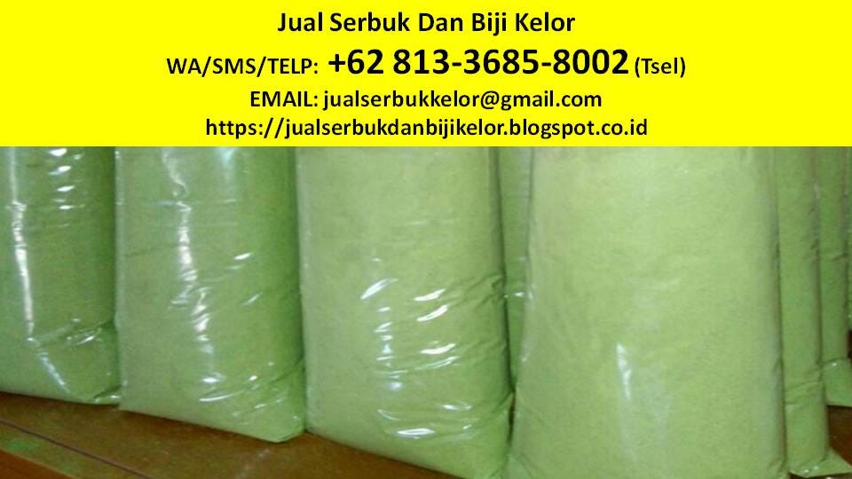 100+ Gambar Biji Daun Kelor Paling Keren 100+ Gambar Biji Daun Kelor Paling Keren
