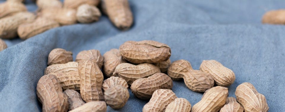 Wenn Erdnüsse Eine Geschichte Erzählen | By Petra Sammer | Medium