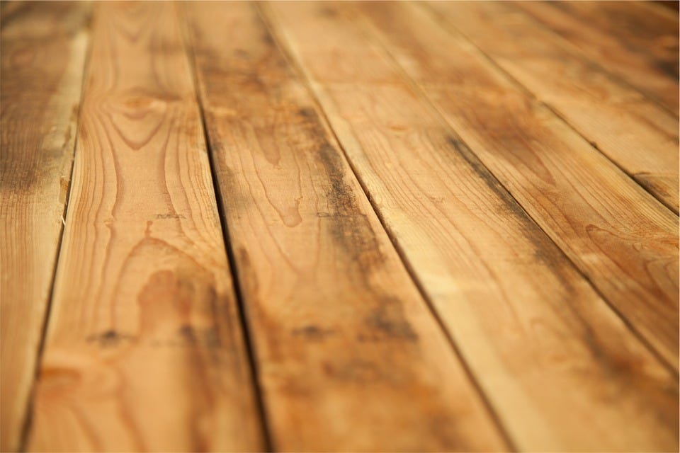 Best Hardwood Floors For Pet Owners Jennifer Stott Medium