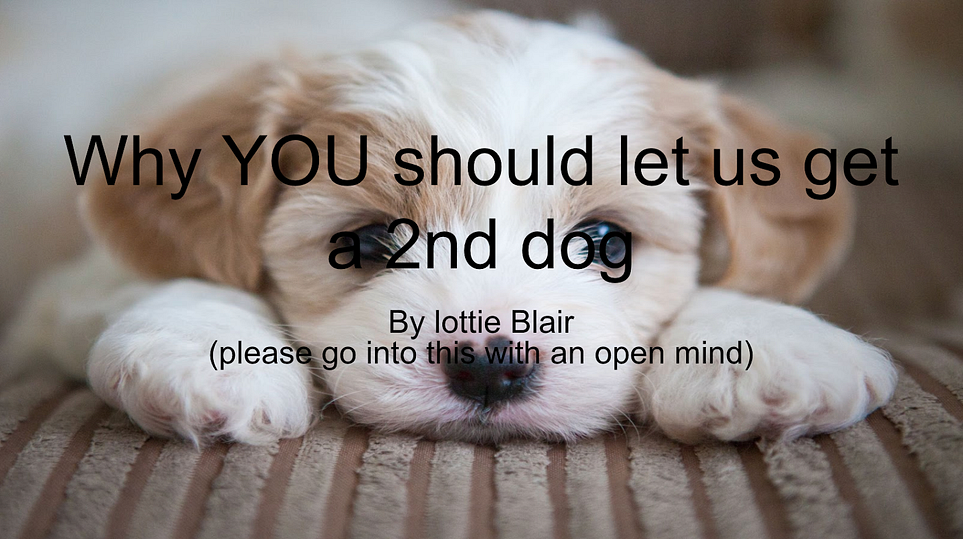Lottie Blair slide deck