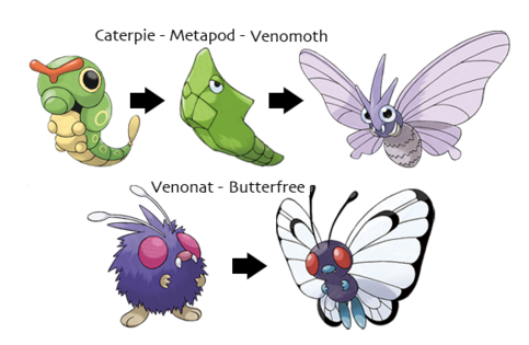 The Caterpie Family. CATERPIE | by Nelson Smith | Medium