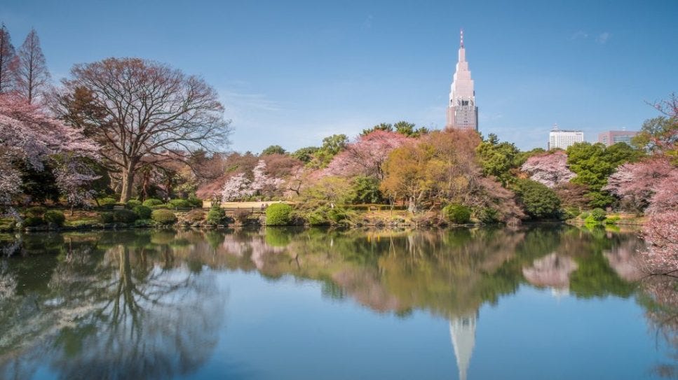日本東京 新宿御苑 Shinjuku Gyoen National Garden 最美賞櫻景點攻略 By 葉小明 Medium