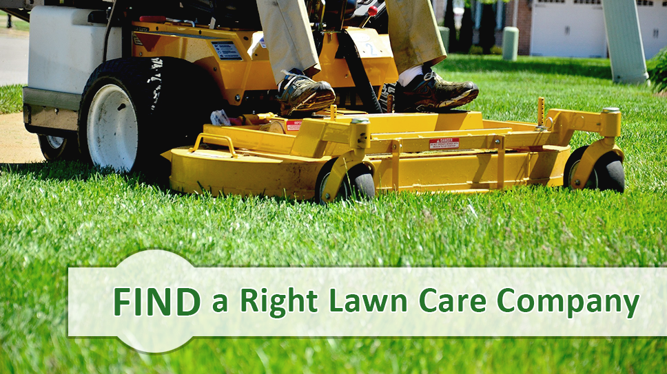 find lawn care