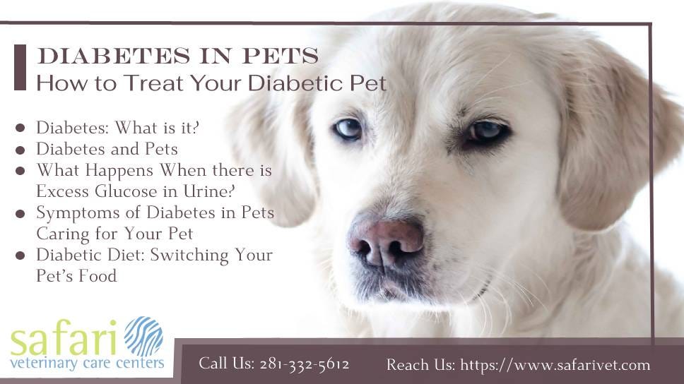 care a lot affordable vet