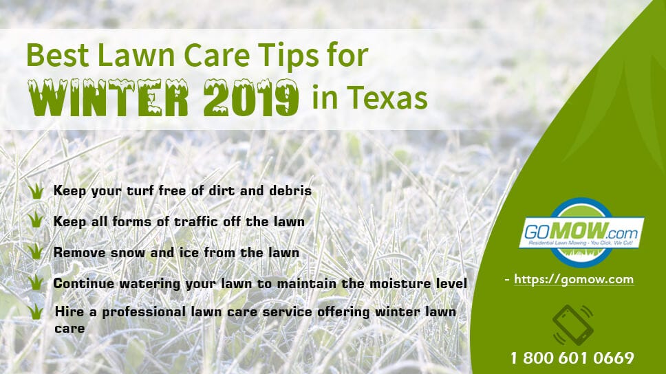 Best Lawn Care Tips For Winter 2019 In Texas Gomow Residential Lawn Care Tips For Winter 2019 In Texas
