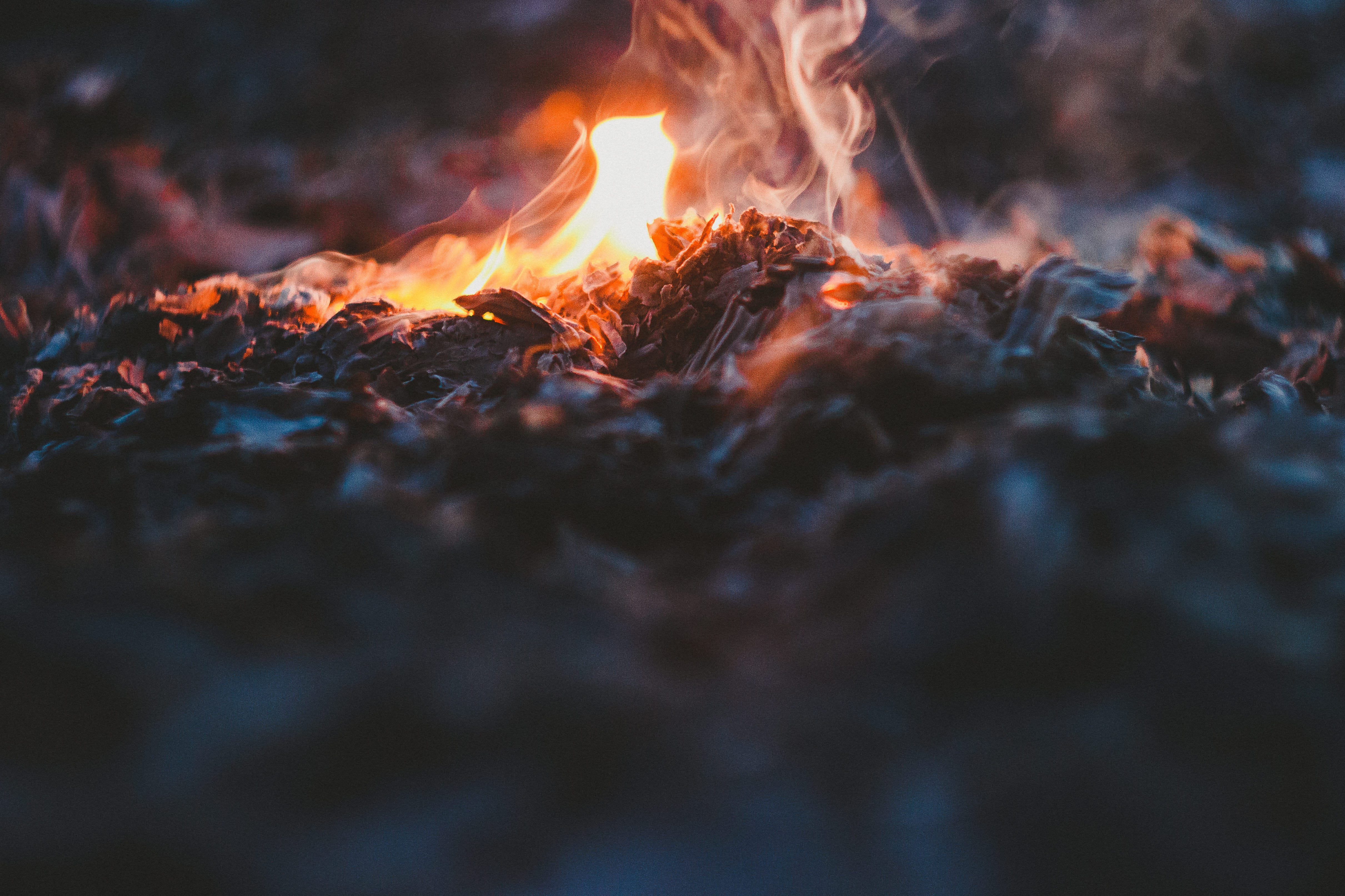 Fire And Ash Dear Anger By Vatsal Prasad Medium