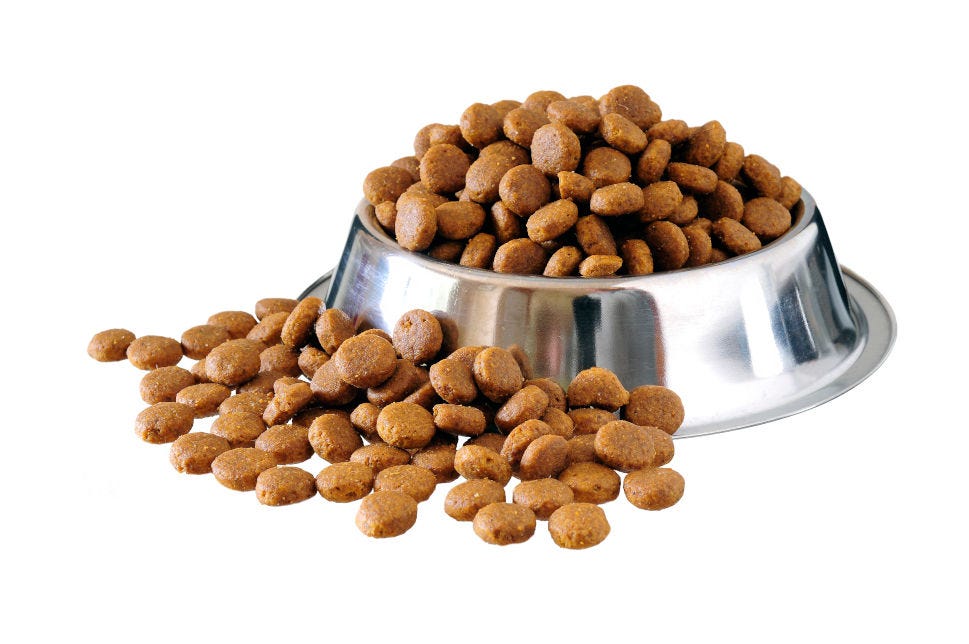 Where Is Pedigree Dog Food Made? (Complete Answer) | Medium