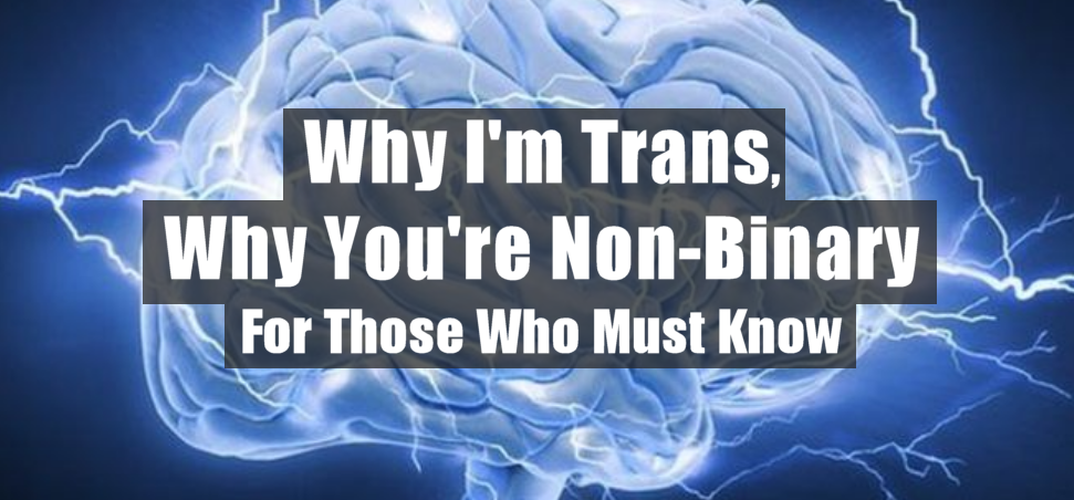 Why I’m Trans, Why You’re Non-Binary For Those Who Must Know | by ...