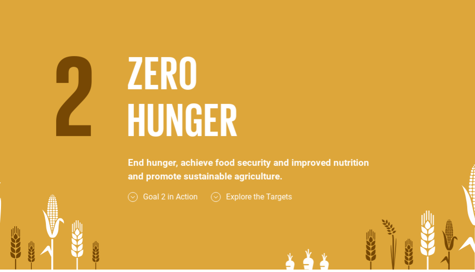 Zero Hunger. I’ve chosen “Zero Hunger” as my goal… by Dillon Duncan