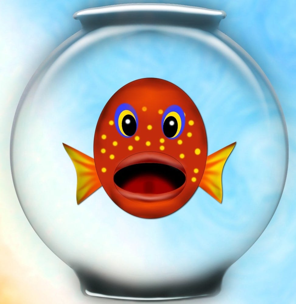 fish-in-a-bowl-covid19-lock-down-day-47-by-pradeep-miriyala