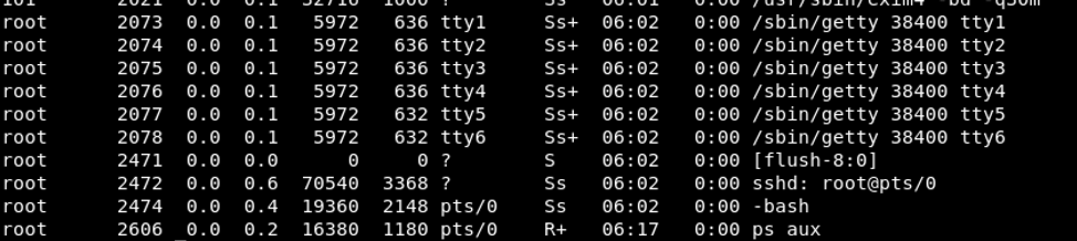 Daemon/Service Exploitation. Daemons are processes that run in the ...