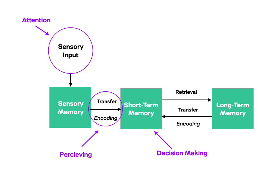 does sensory memory have a large capacity