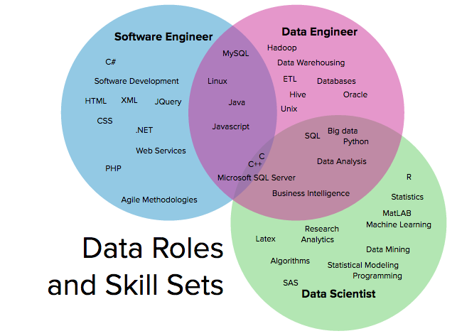 The Dynamics of Data Roles & Teams - European Leadership University