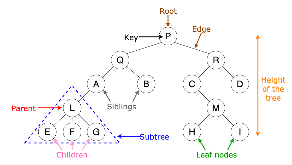 60 Tree Data Structure Coding Interview Questions for Experienced ...