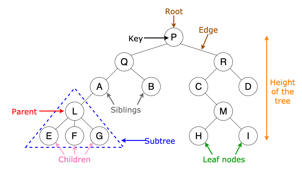 8 Useful Tree Data Structures Worth Knowing | by Vijini Mallawaarachchi |  Towards Data Science