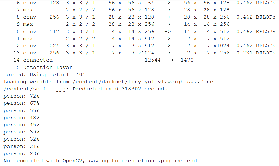 YOLO v1 - selfie.jpg Prediction Probabilities
