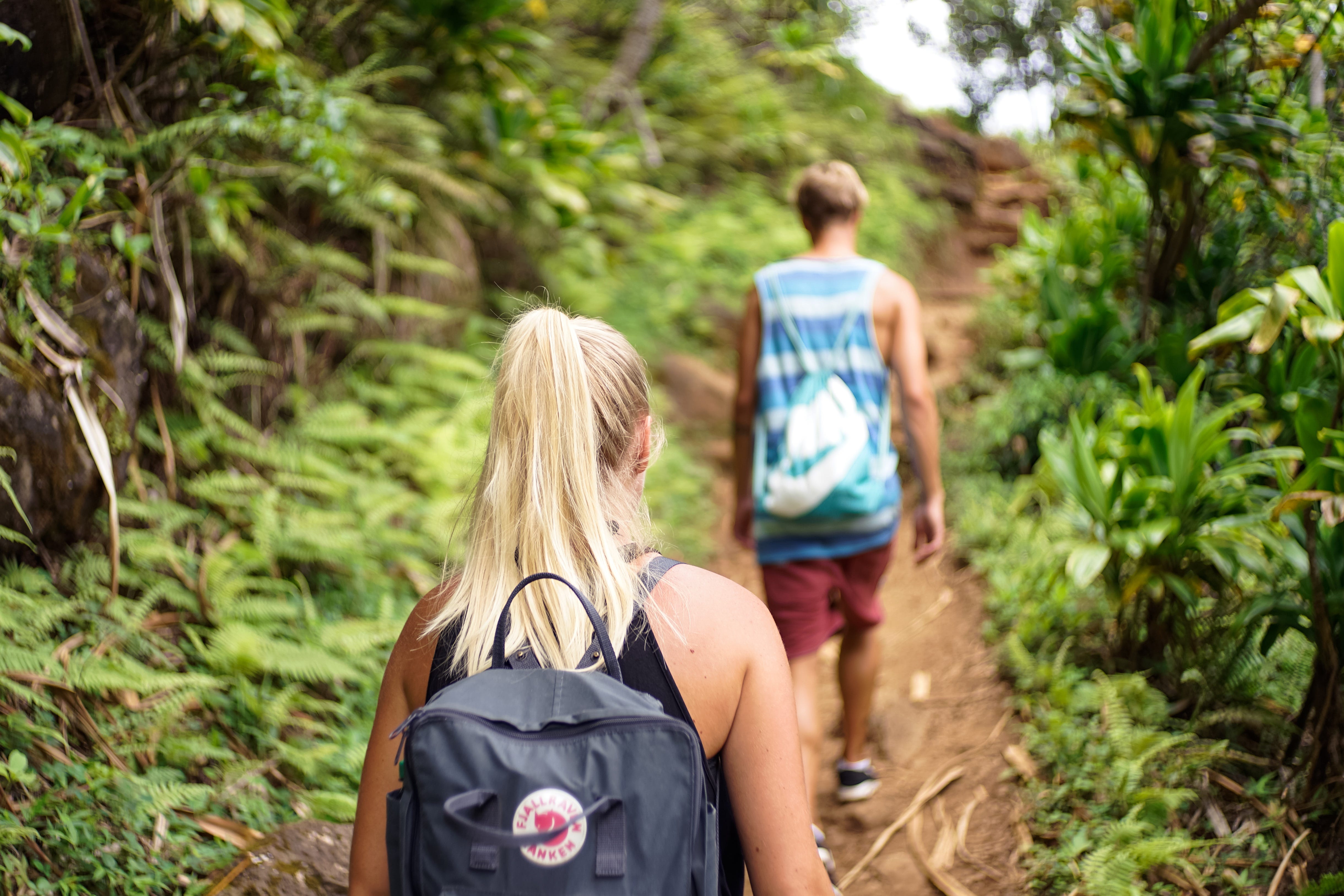 How To Join An Ayahuasca Retreat The Soul Tribe Medium