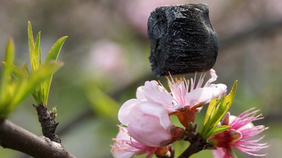 Meet Aerographene, The Material Lighter Than Air and Stronger Than Steel
