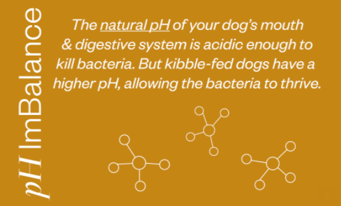 how do you kill bacteria in a dogs mouth