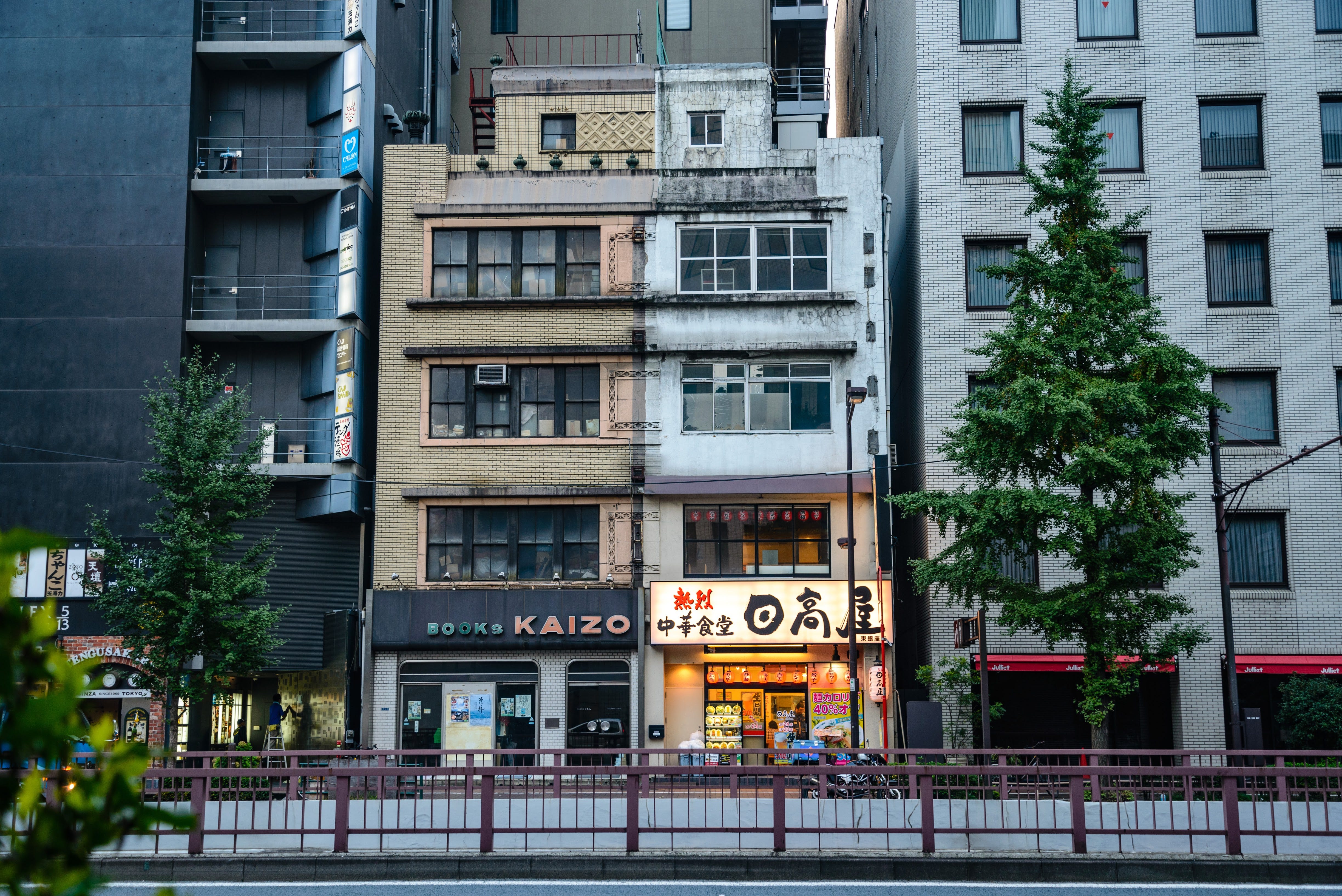 Tokyo Classics Rediscovered Travel Far Near - 