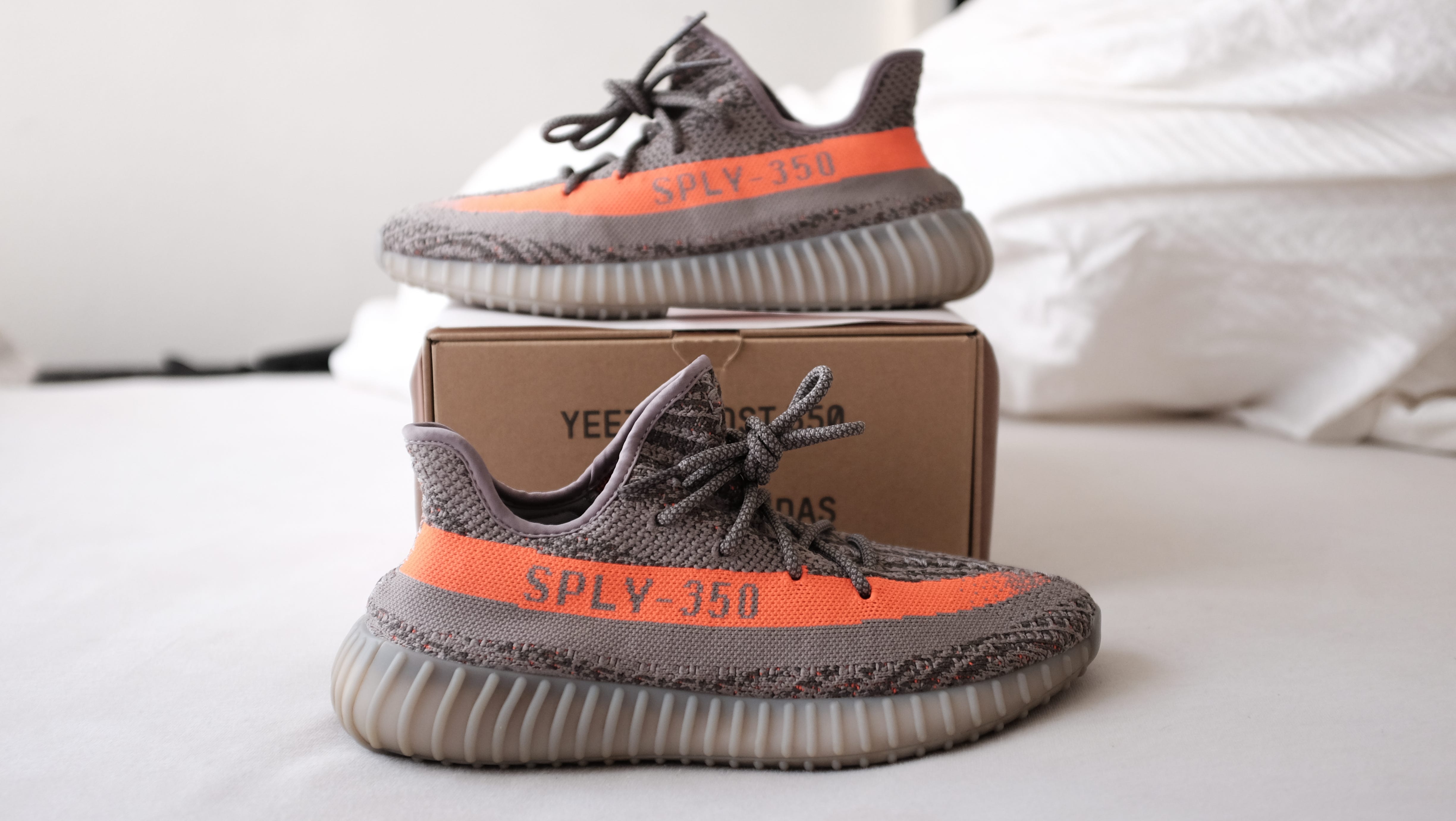 yeezy beluga v1 restock