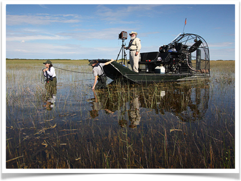 Naked Nature: The Everglades Centerfold | by TR Anderson | Medium