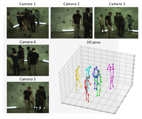 3d pose reference software