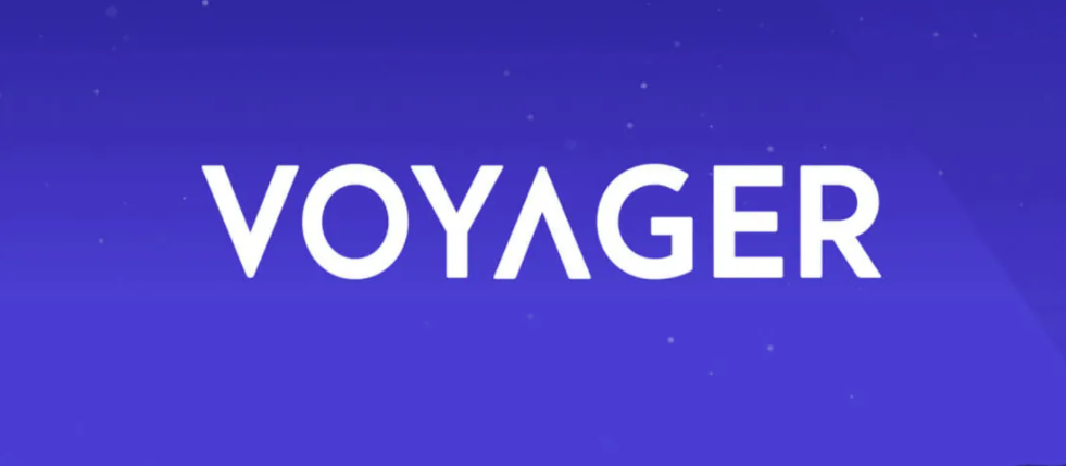 Next Gem Voyager Coin Vgx Complete Overview 20 Possible By Sales Wallet General Knowledge Medium
