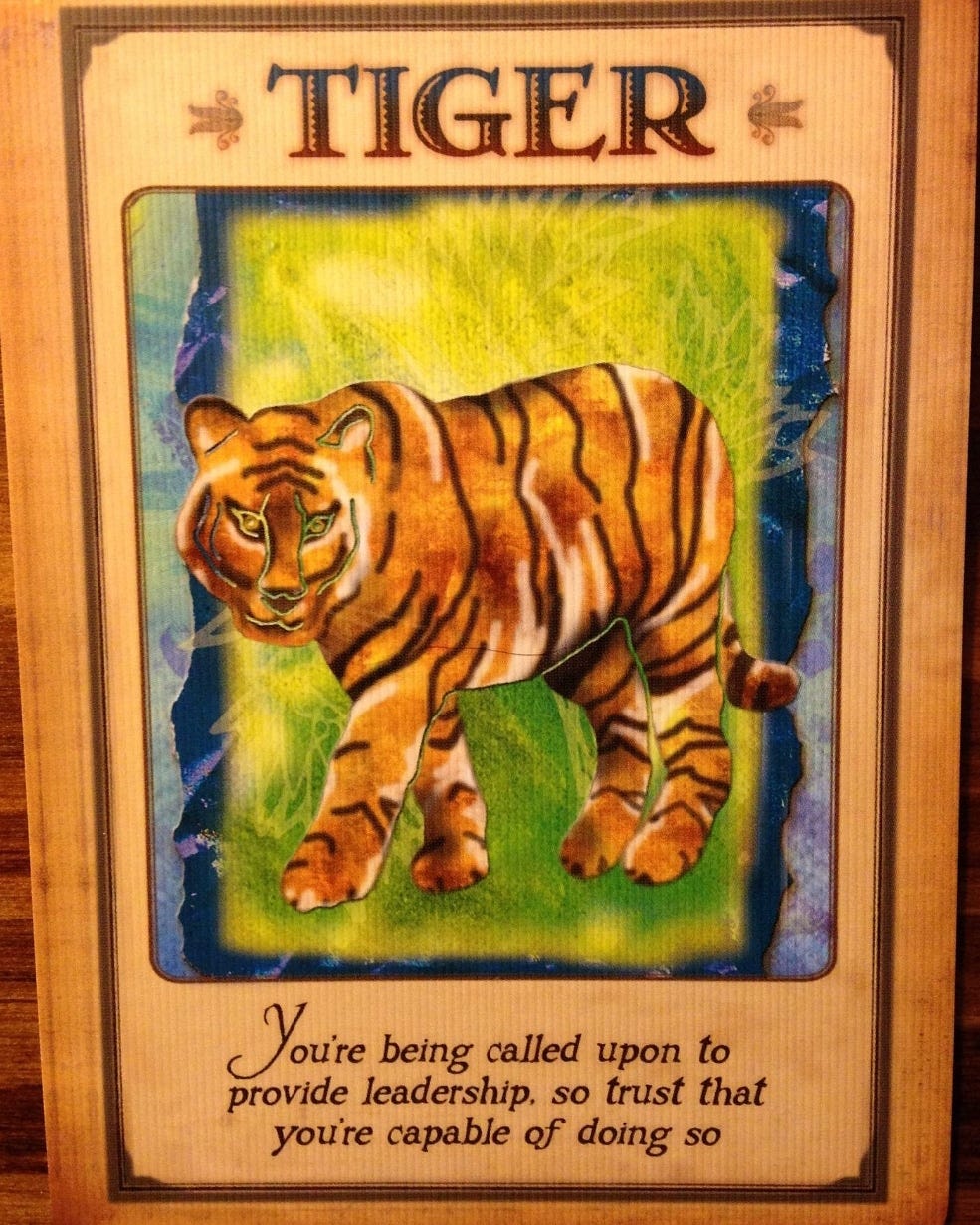 Card of the Day: TIGER. "You're being called upon to provide… | by Norma  Louise Rasmussen WholisticMysticNorma⏳ | Medium