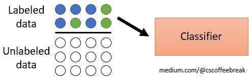 Dealing With Partially Labeled Data | by CS Coffee Break | Medium