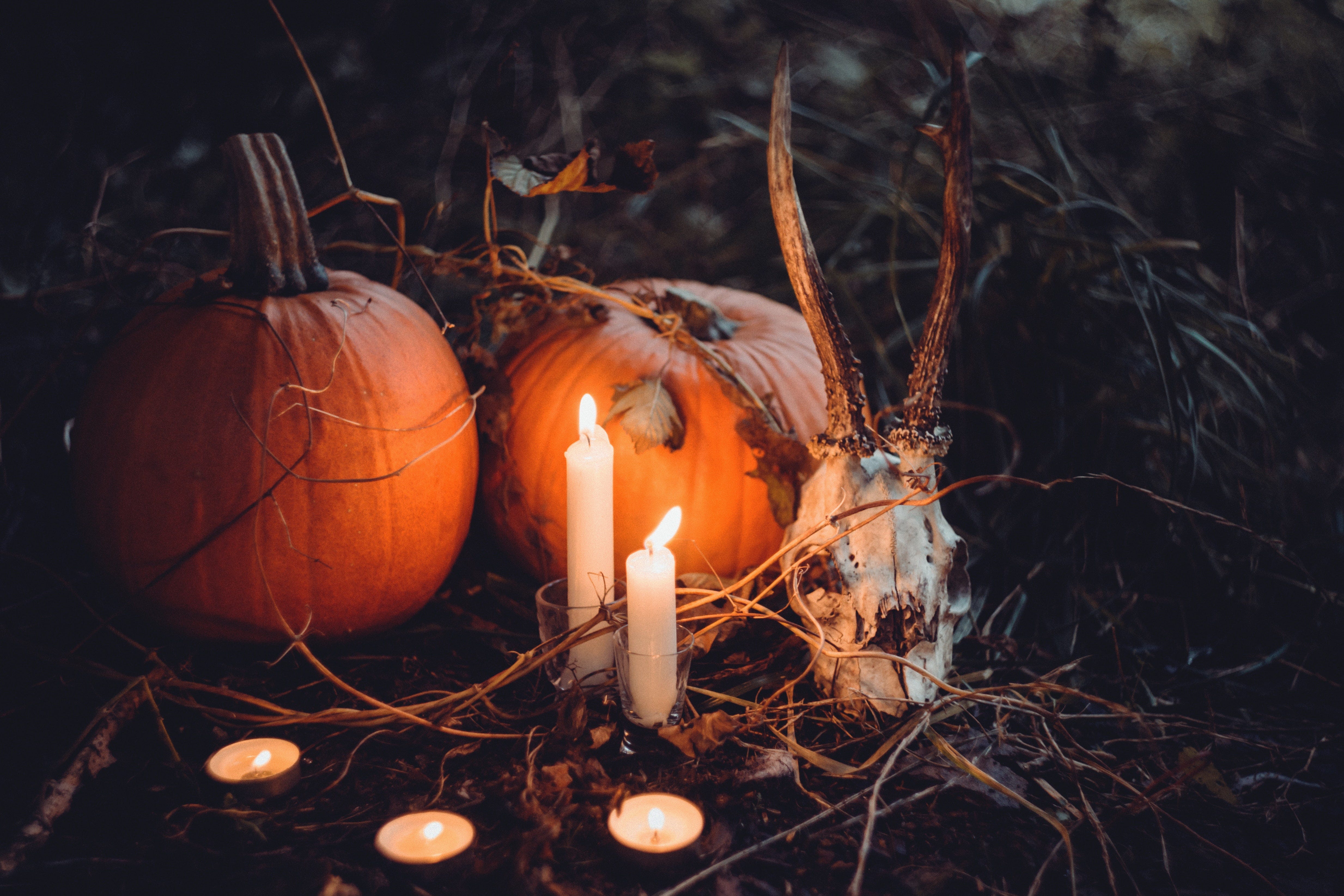 Samhain The Truth and Origins of Halloween by Edie Tuck Imperfect Samhain The Truth and Origins of Halloween by Edie Tuck Imperfect