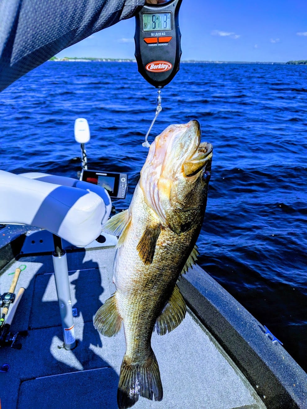 5lb 3oz Bass From Lake Tarpon