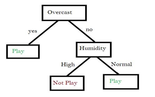 Random Forest with Practical Implementation | by Amir Ali | Wavy AI ...