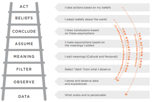 The Ladder Of Assumptions What Kind Of Preparation Do You Do For By Padraig Coaching Medium