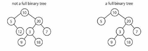 Full Binary Tree