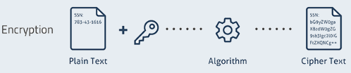 Java Cryptography (Blowfish Encryption & Decryption Tutorial) | by arie ...
