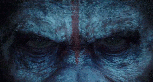 pic Planet Of The Apes Caesar Gif the caesar legacy politics and