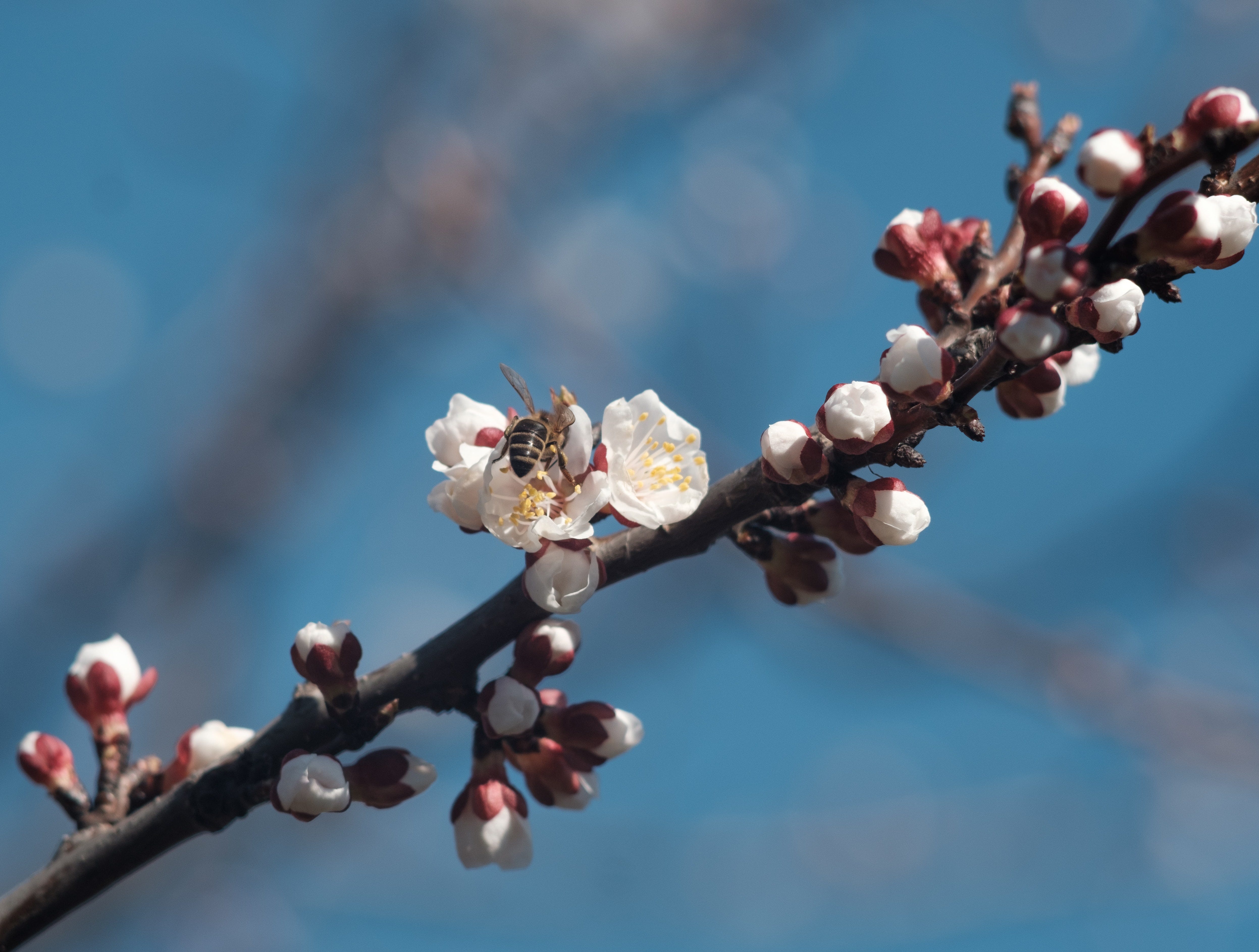 Spring is here