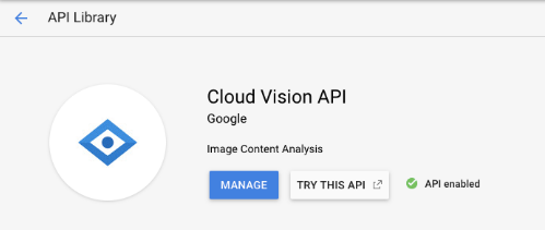 google cloud vision api nodejs