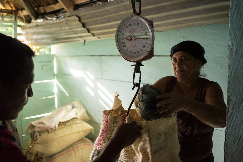 Ana Almanza weighs a cocoa crop before purchasing it in Isla de la Amargura