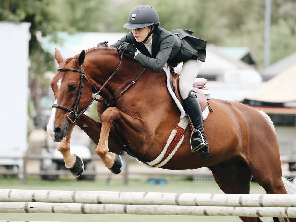 Intelligence Behind The Famous Tim Sort Algorithm!! | by Snob Insights ...