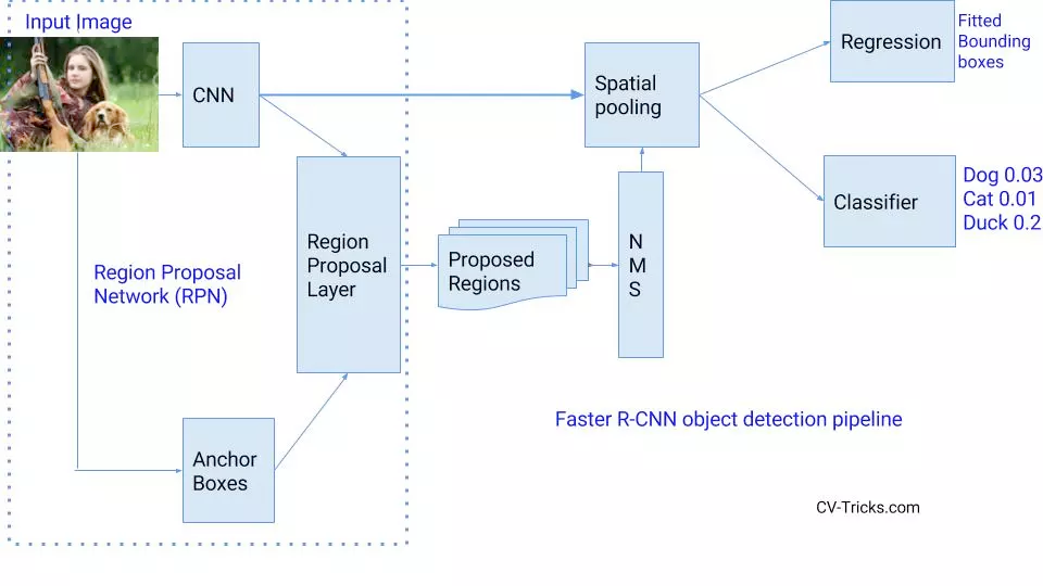 Region Proposal Network (RPN)