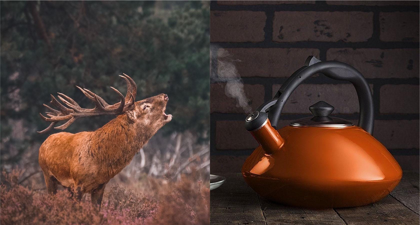 An elk bellows and a kettle whistles to demonstrate UX sound design