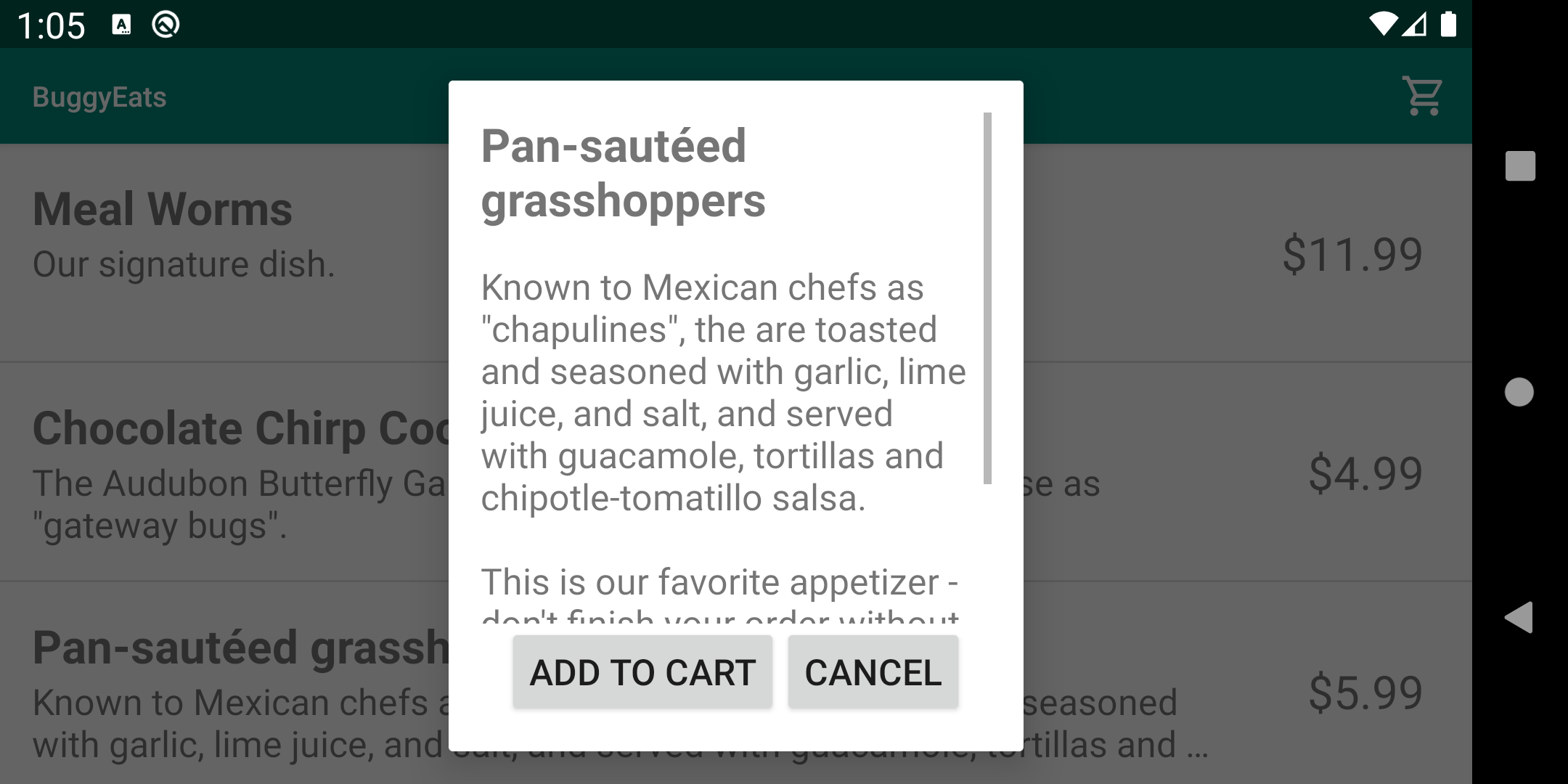 Screenshot of overflowing text in a ScrollView