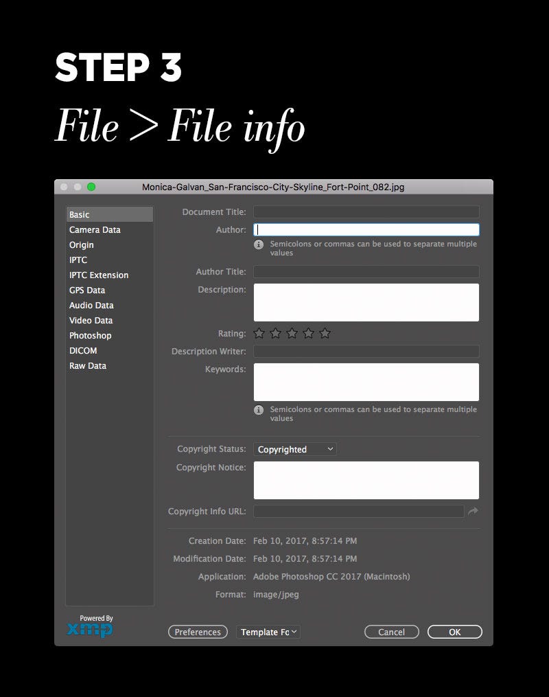 Step 3: File > File info